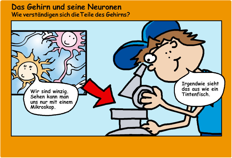Die Comicfigur Max betrachtet mit einem Mikroskop Nervenzellen des Gehirns.